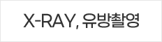 X-RAY, �����Կ�