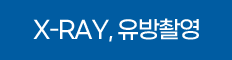 X-RAY, �����Կ�